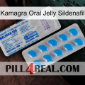 Kamagra Oral Jelly Sildenafil new15